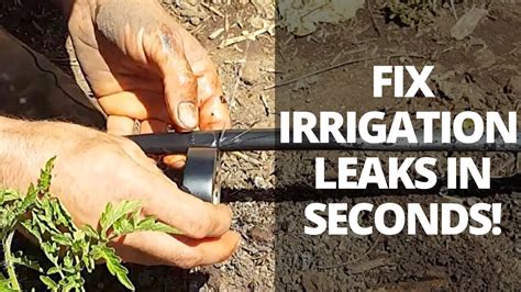 fix irrigation pipe leak|DIY Repair: Fix Leaking Pipe In Sprinkler System